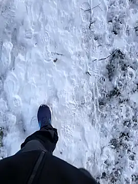 OdinWolf1990 online show from January 10, 2026, 8:49 am