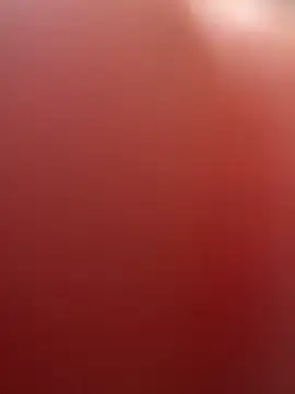 portugadopau online show from September 10, 2025, 4:07 pm