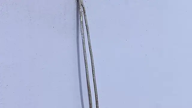 Habibi big b online show from April 19, 2026, 5:23 pm