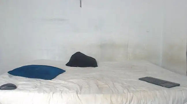 edwin mosquera1 online show from December 21, 2024, 3:09 pm