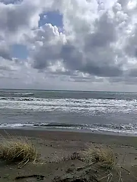 dhaadhawe online show from March 21, 2026, 11:59 am