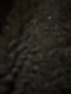 cicciolina online show from January 31, 2025, 9:16 pm