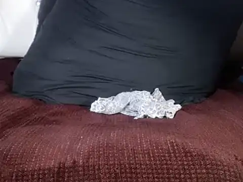 Snapshot of TransCya2024 chatting on February 6, 2025, 12:16 pm TransCya2024 online show from February 6, 2025, 12:16 pm