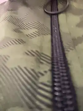 Snapshot of adahara19 chatting on December 17, 2024, 1:29 am adahara19 online show from December 17, 2024, 1:29 am