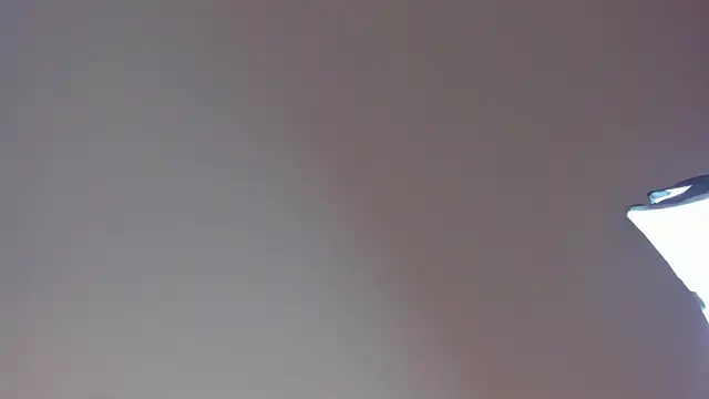 Snapshot of Laurent_Williams chatting on December 28, 2024, 10:02 pm Laurent Williams online show from December 28, 2024, 10:02 pm