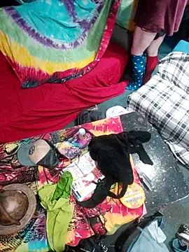 Boo-boo kittyfux online show from October 15, 2025, 8:47 am