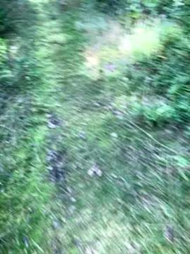 Snapshot of Zbochunec chatting on September 13, 2025, 11:43 am Zbochunec online show from September 13, 2025, 11:43 am