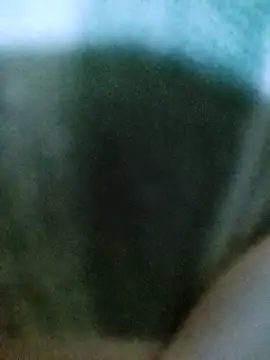 Snapshot of PayalSharmahot143 chatting on October 2, 2025, 11:06 am PayalSharmahot143 online show from October 2, 2025, 11:06 am