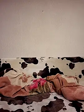 Zgodanilep online show from March 31, 2026, 12:49 pm