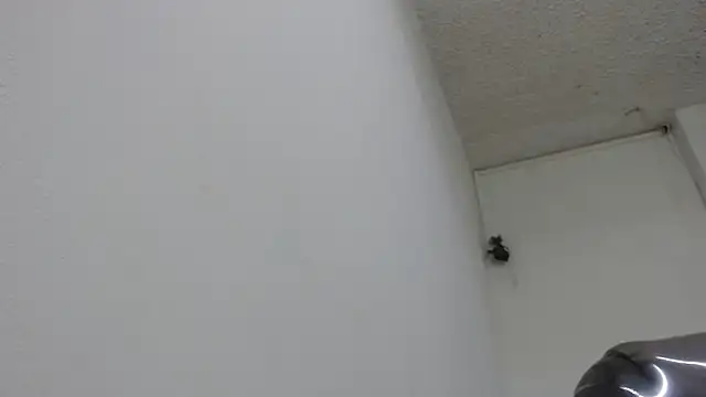 sexy lady 0 online show from February 13, 2025, 8:34 pm