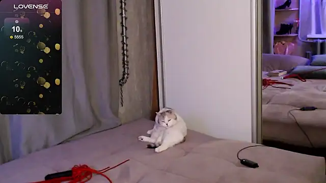 Carrie Moonshine online show from March 16, 2025, 12:45 am