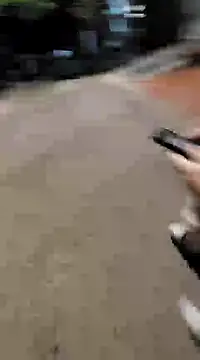 aurelialux online show from February 1, 2025, 6:54 am