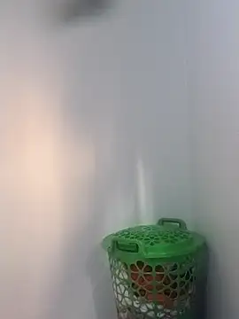 Snapshot of BriannaVincent chatting on February 5, 2026, 4:39 am BriannaVincent online show from February 5, 2026, 4:39 am