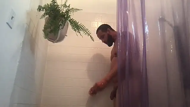 Z415 online show from October 8, 2025, 4:04 pm