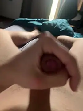 toto36643 online show from February 19, 2026, 12:56 pm