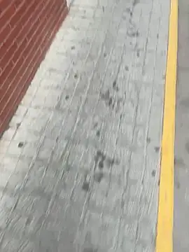 jovenestraviesos online show from February 25, 2026, 4:27 pm