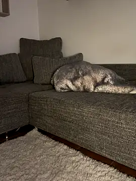 Snapshot of godspot_ chatting on October 30, 2025, 8:20 pm godspot online show from October 30, 2025, 8:20 pm