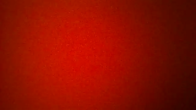 Porzz-6 online show from February 3, 2026, 11:21 pm