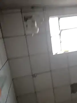 DitchingThrottle online show from March 19, 2026, 12:31 pm