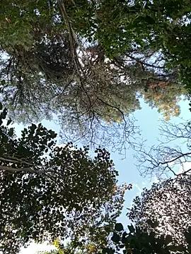  PhillipBrown online show from September 10, 2025, 11:32 am