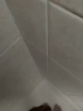 catopper0001 online show from November 8, 2025, 3:23 pm