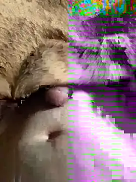 sansato133 online show from January 19, 2025, 9:44 am