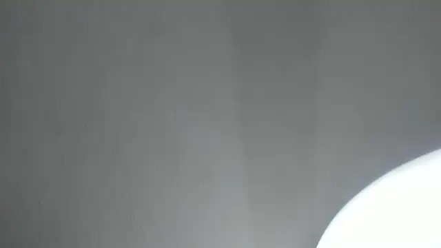 PandoraRider online show from April 16, 2026, 1:34 pm