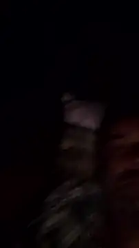 Gianlucazeis online show from June 3, 2026, 2:58 am