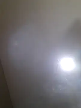 Colorao4 online show from September 30, 2025, 2:55 pm