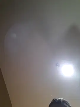 Colorao4 online show from October 2, 2025, 11:17 am