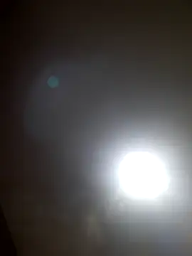 Colorao4 online show from October 22, 2025, 9:09 am