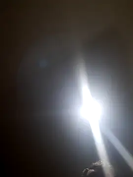 Colorao4 online show from October 28, 2025, 7:34 am