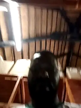 Touch mysoul online show from October 26, 2025, 8:09 am