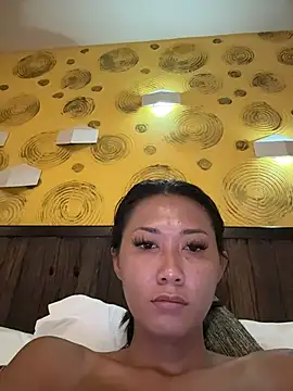 thai-dreamgirl online show from April 3, 2026, 12:08 am