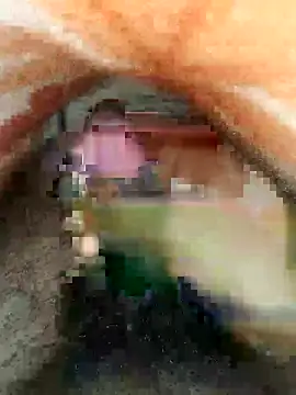 Snapshot of cjonybab chatting on February 18, 2025, 4:48 pm cjonybab online show from February 18, 2025, 4:48 pm