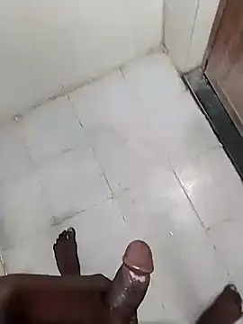 Mrveda66 online show from February 3, 2026, 2:53 am