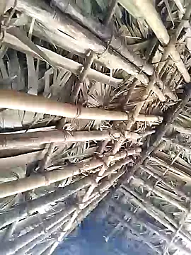 Mrveda66 online show from February 9, 2026, 6:17 am