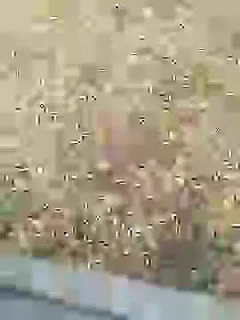 Mrveda66 online show from February 10, 2026, 11:03 am