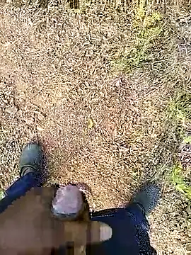 Mrveda66 online show from February 19, 2026, 10:33 am