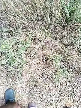 Mrveda66 online show from February 23, 2026, 6:11 am