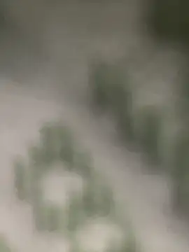 Snapshot of Estefanii- chatting on December 16, 2024, 1:32 pm Estefanii- online show from December 16, 2024, 1:32 pm