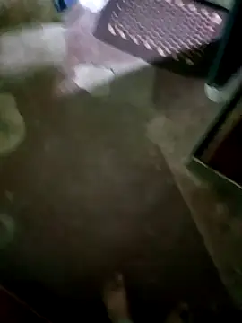 Snapshot of InboardHasek chatting on December 5, 2024, 1:28 pm InboardHasek online show from December 5, 2024, 1:28 pm