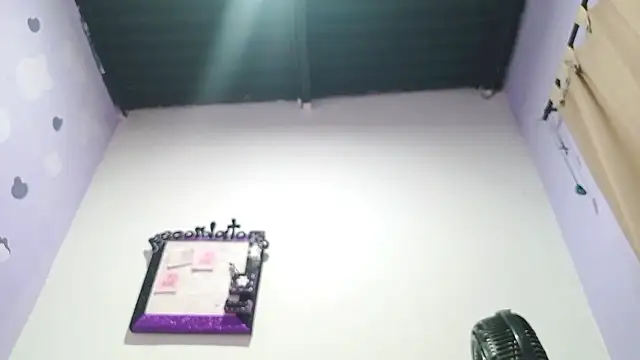 PetiteIvoryQueen19 online show from December 3, 2024, 6:59 am