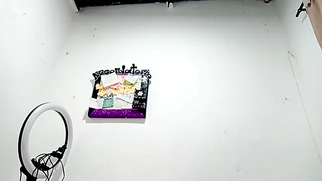 PetiteIvoryQueen19 online show from December 20, 2025, 4:19 am