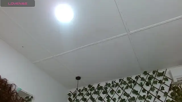 dannaberlin 0 online show from December 30, 2024, 12:09 pm