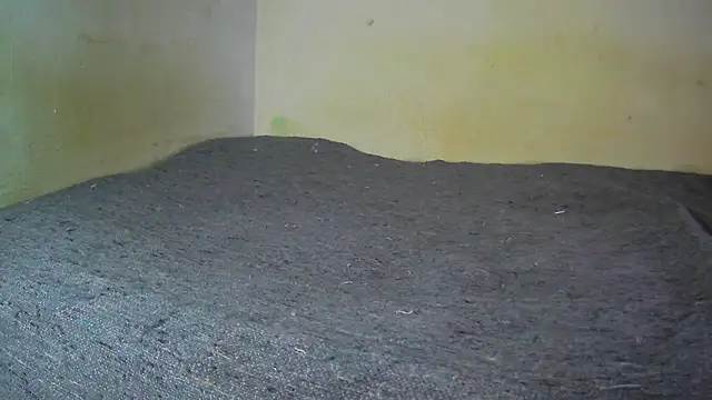 fern tlk online show from December 17, 2024, 8:21 pm