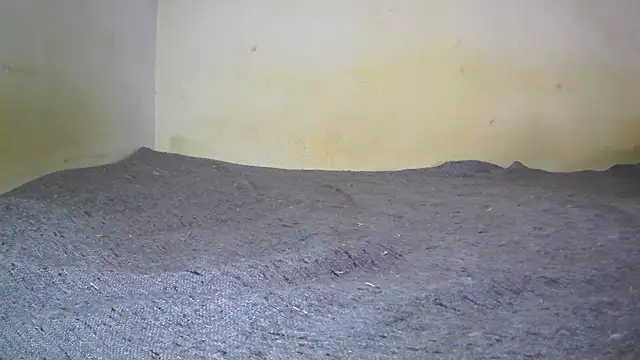 fern tlk online show from February 1, 2025, 5:28 am