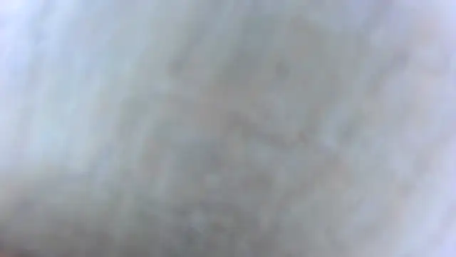 BRONZE20K online show from January 23, 2025, 11:37 am