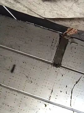 Snapshot of macg96 chatting on December 17, 2024, 8:34 am macg96 online show from December 17, 2024, 8:34 am