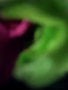 Snapshot of heartless__95 chatting on March 23, 2025, 6:47 am heartless 95 online show from March 23, 2025, 6:47 am